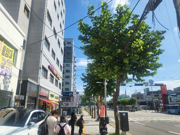 서울특별시 양천구 남부순환로 405, 제102동 제5층 제503호 (신월동, 그라비스) · 지번주소: 서울특별시 양천구 신월동 131-2 법원경매 물건 대표사진