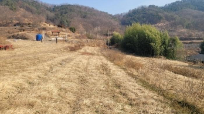 법원경매 2024타경3547 사진7 | 함안군 법수면 강주리 501 전 경매