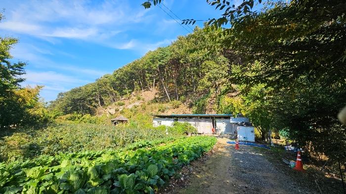2024타경1349 법원경매 사진5 | 충남 공주시 임야 경매