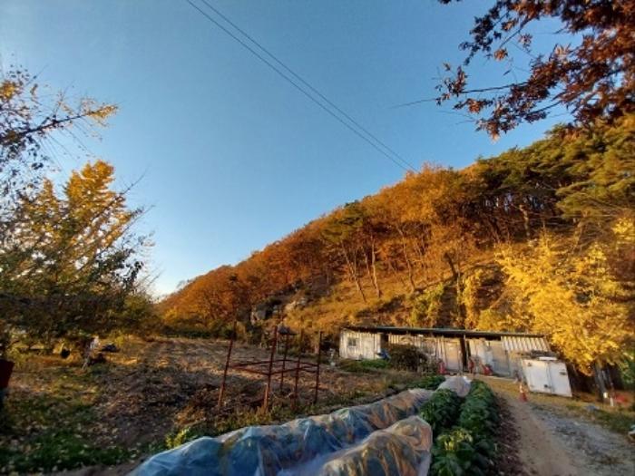 2024타경1349 법원경매 사진7 | 충남 공주시 임야 경매