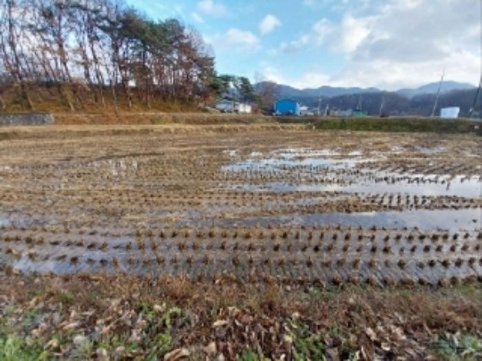 2024타경21992 법원경매 사진6 | 충남 청양군 답 경매