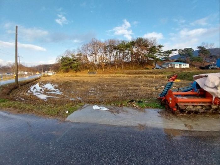 2024타경21992 법원경매 사진7 | 충남 청양군 답 경매