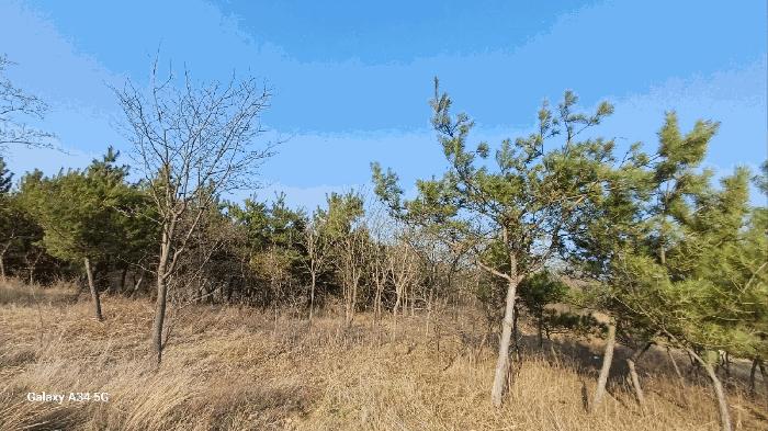 2025타경639 법원경매 사진3 | 경북 영천시 대지,임야,전답 경매