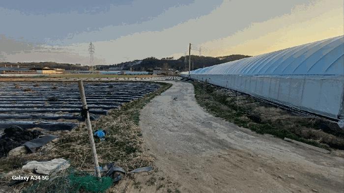 2025타경639 법원경매 사진7 | 경북 영천시 대지,임야,전답 경매