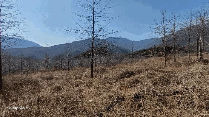 2025타경639 법원경매 사진6 | 경북 영천시 대지,임야,전답 경매