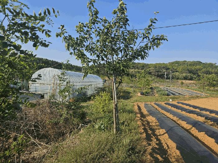 2025타경767 법원경매 사진7 | 대구 수성구 묘지 경매