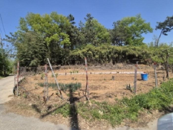 2025타경32564 법원경매 사진19 | 전남 나주시 임야 경매