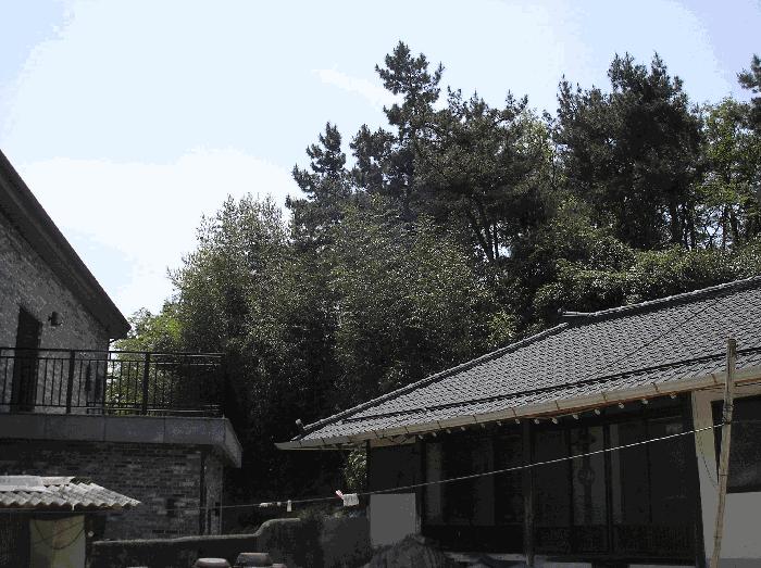 2025타경32564 법원경매 사진5 | 전남 나주시 임야 경매