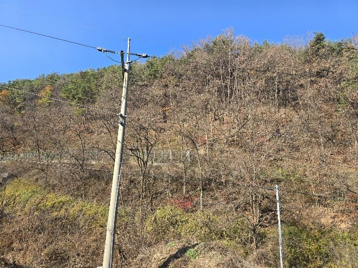 경상북도 영양군 영양읍 동부리 산100-1 법원경매 물건 대표사진