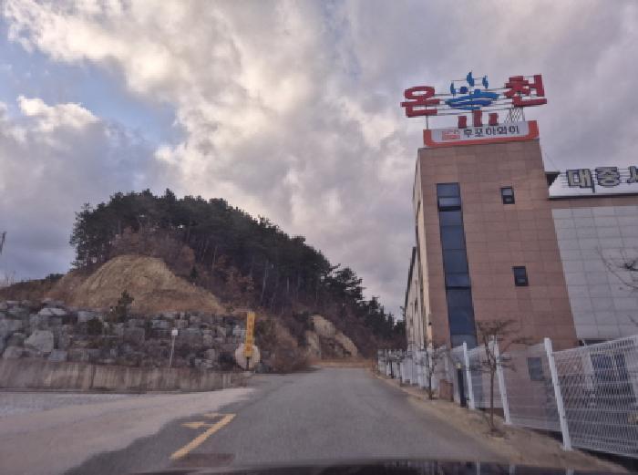 법원경매 2025타경10162 사진4 | 울진군 후포면 삼율리 732-7 임야 경매