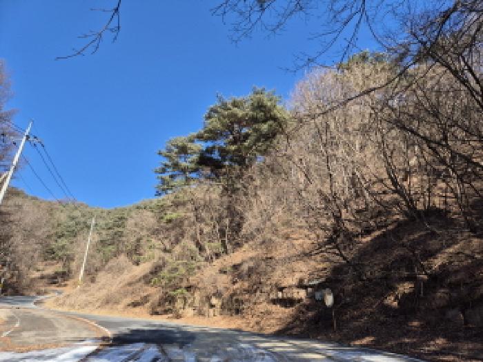 법원경매 2025타경10164 사진25 | 영양군 청기면 산운리 임야 경매
