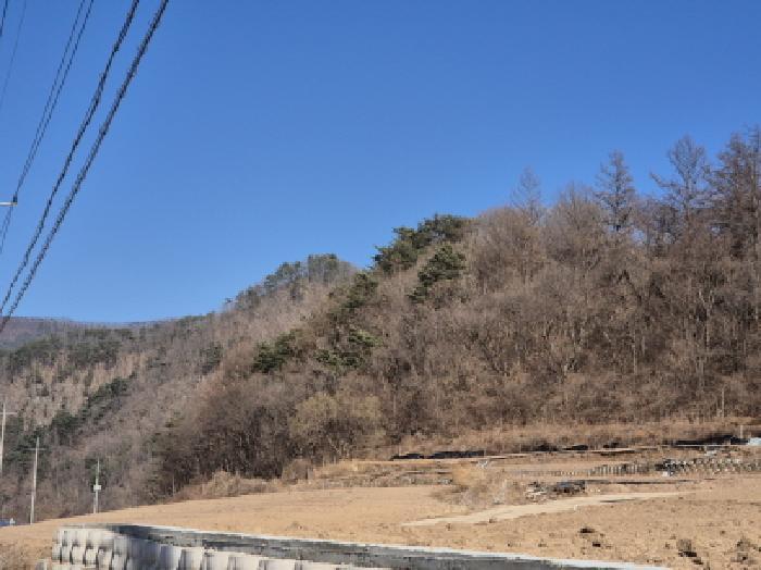 법원경매 2025타경10164 사진28 | 영양군 청기면 산운리 임야 경매