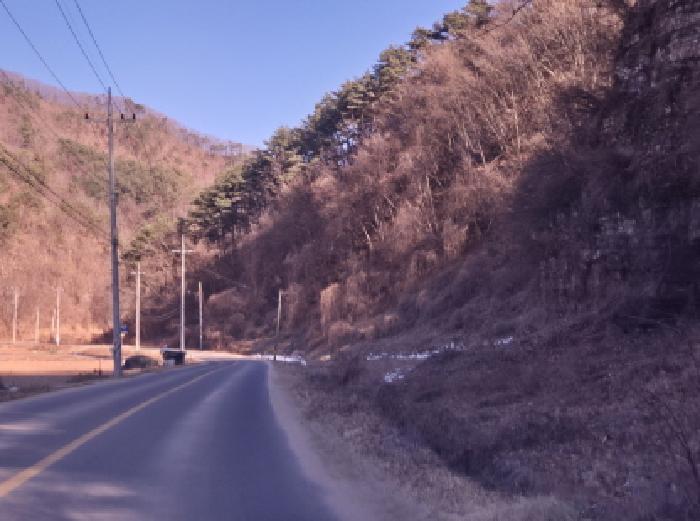 법원경매 2025타경10164 사진29 | 영양군 영양읍 임야 경매