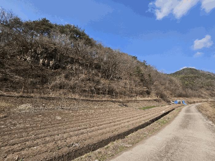 법원경매 2025타경10164 사진5 | 영양군 입암면 금학리 임야 경매