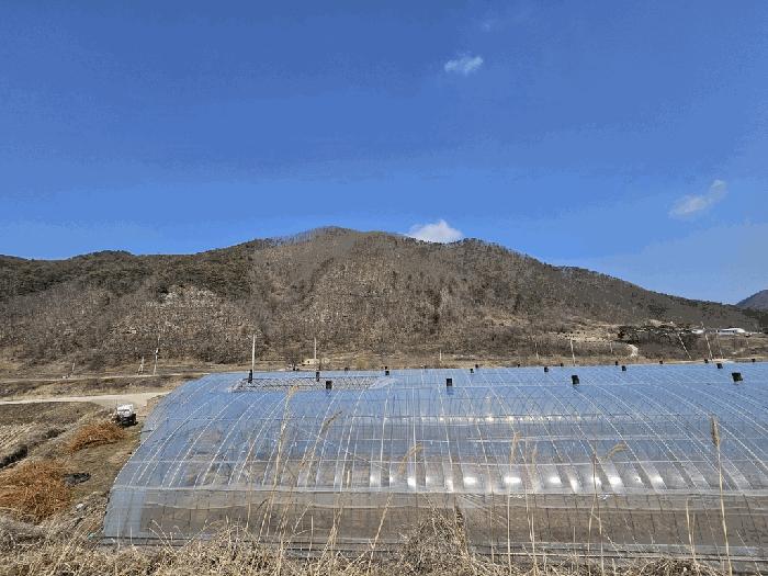 법원경매 2025타경10164 사진10 | 영양군 청기면 정족리 임야 경매
