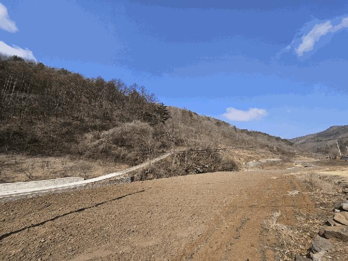 법원경매 2025타경10164 사진11 | 영양군 청기면 정족리 임야 경매