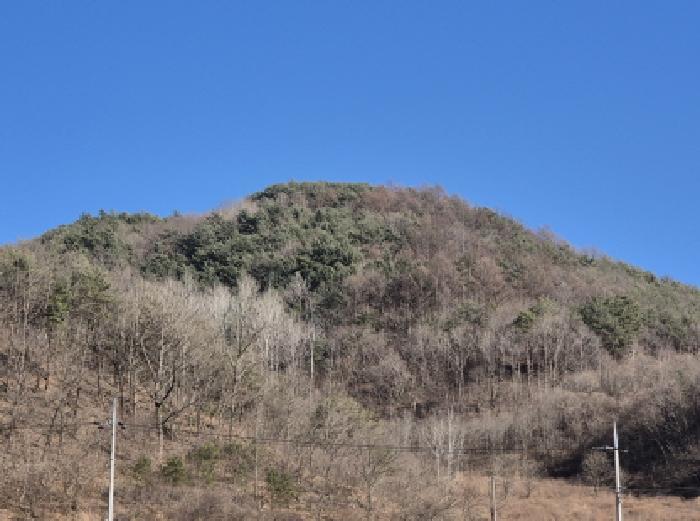 법원경매 2025타경10164 사진26 | 영양군 청기면 정족리 임야 경매