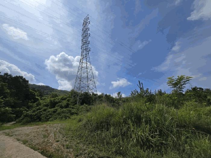 2025타경3565 법원경매 사진6 | 청주 상당구 임야 경매