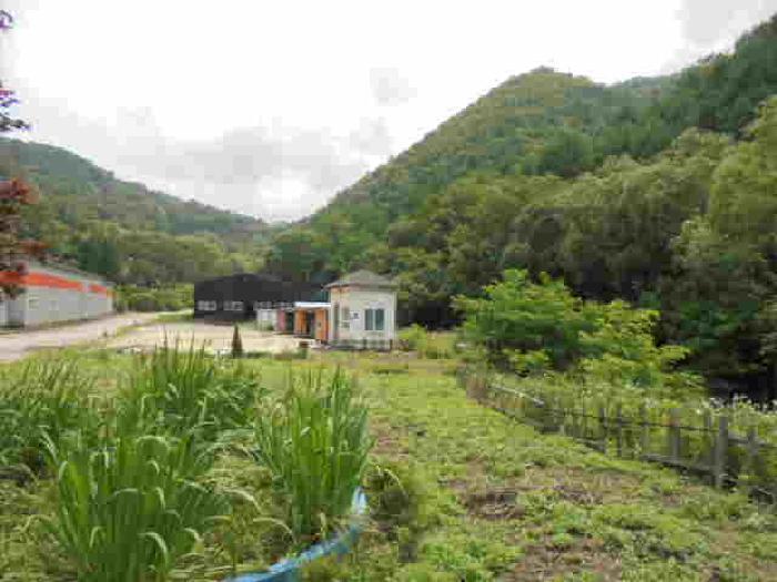 2025타경51369 법원경매 사진11 | 충북 괴산군 공장 경매