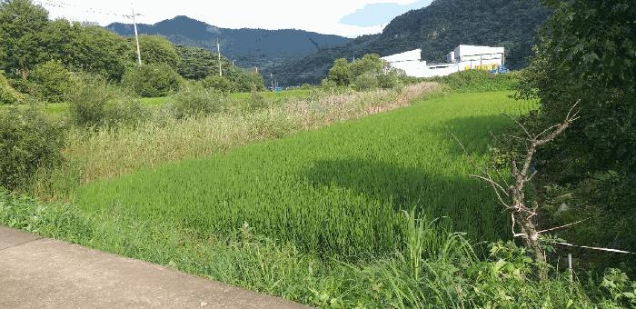 충청북도 괴산군 연풍면 갈금리 162-1 법원경매 물건 대표사진