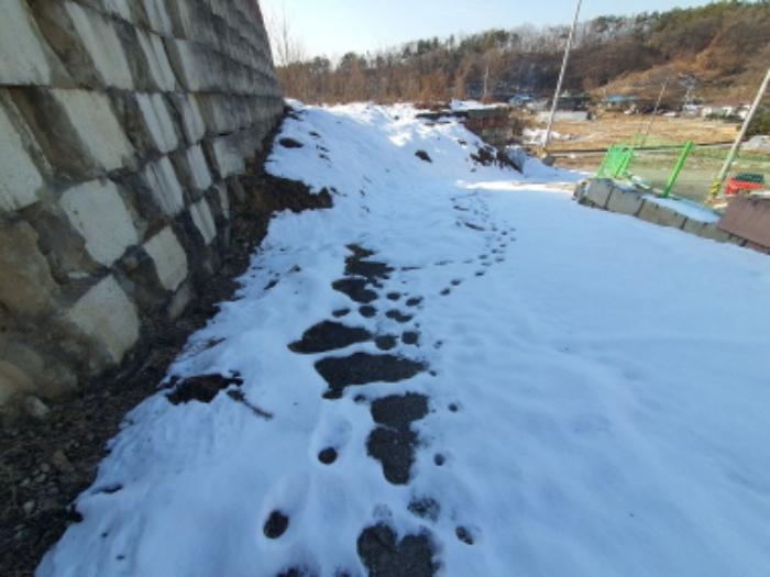 법원경매 2024타경7194 사진10 | 광주시 곤지암읍 신촌리 14-19 임야 경매