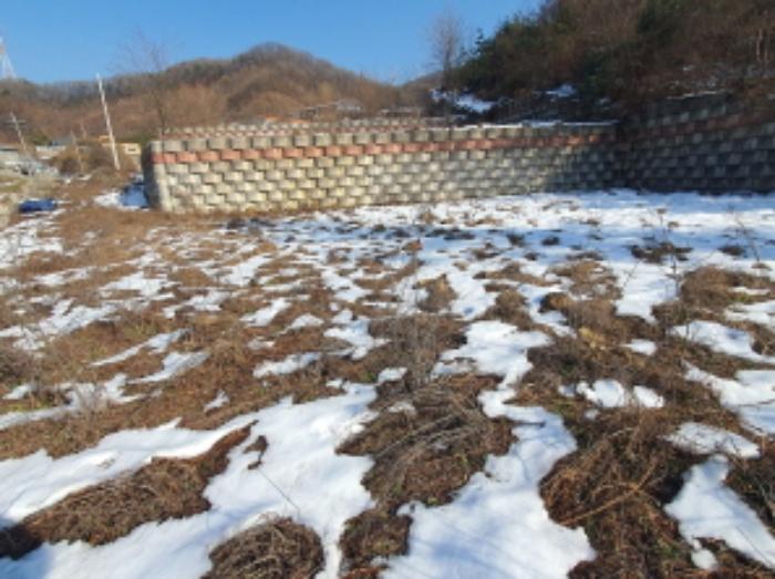 법원경매 2024타경7194 사진8 | 광주시 곤지암읍 신촌리 14-19 임야 경매