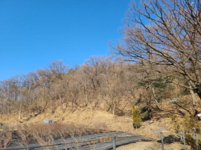 법원경매 2025타경442 사진16 | 성남시 중원구 도촌동 임야 경매