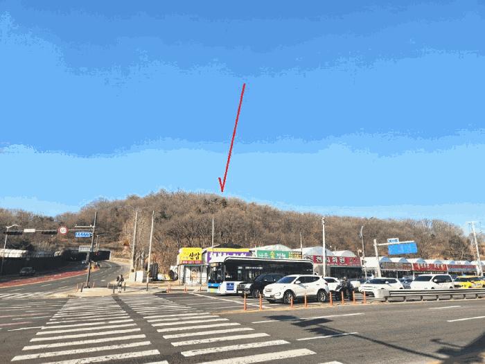 법원경매 2025타경442 사진3 | 성남시 중원구 도촌동 임야 경매