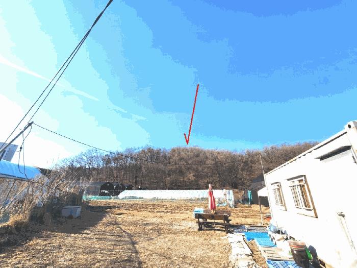 법원경매 2025타경442 사진8 | 성남시 중원구 도촌동 임야 경매