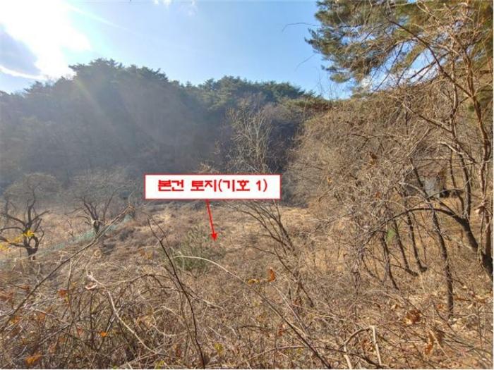 법원경매 2024타경55510 사진3 | 강릉시 지변동 199-1 답 경매