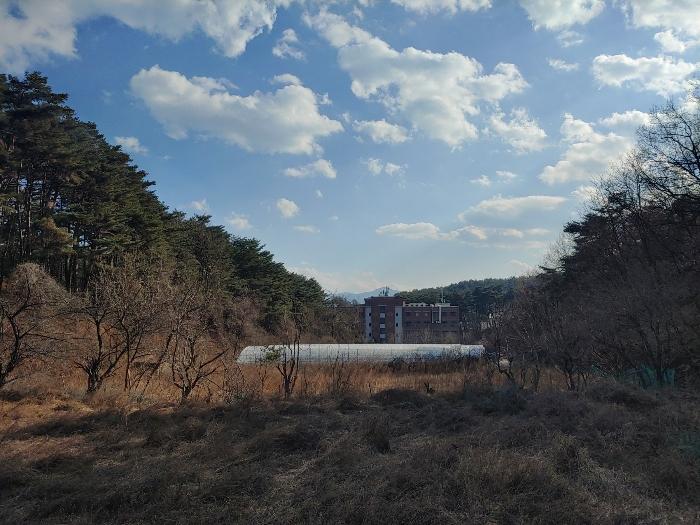 법원경매 2024타경55510 사진4 | 강릉시 지변동 199-1 답 경매