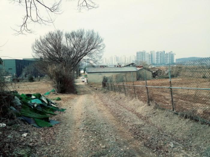 법원경매 2025타경540 사진33 | 평택시 청룡동 221-1 전 경매