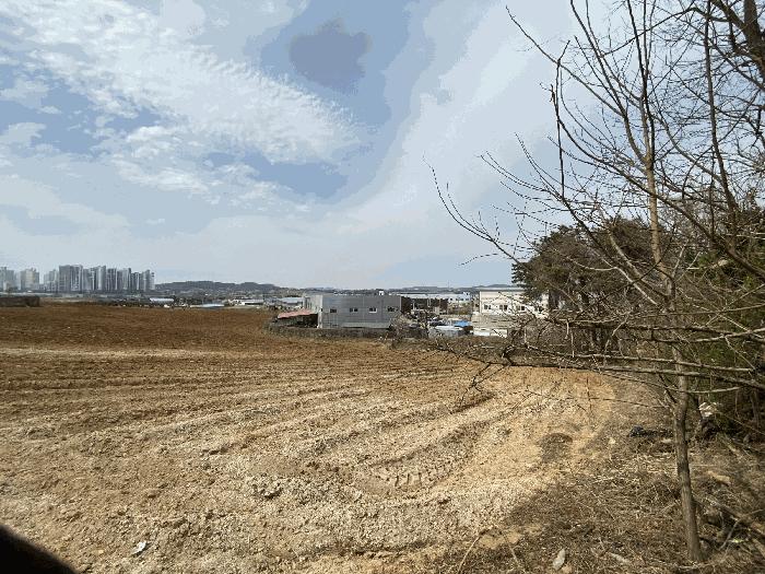 법원경매 2025타경540 사진9 | 평택시 청룡동 221-1 전 경매