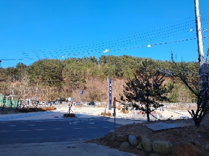 강원특별자치도 삼척시 원덕읍 옥원리 산115 법원경매 물건 대표사진
