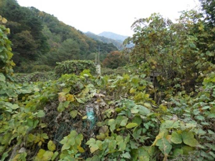 법원경매 2024타경3000 사진4 | 횡성군 우천면 오원리 234 전 경매
