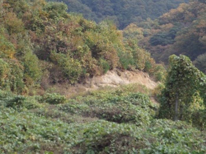 법원경매 2024타경3000 사진5 | 횡성군 우천면 오원리 234 전 경매