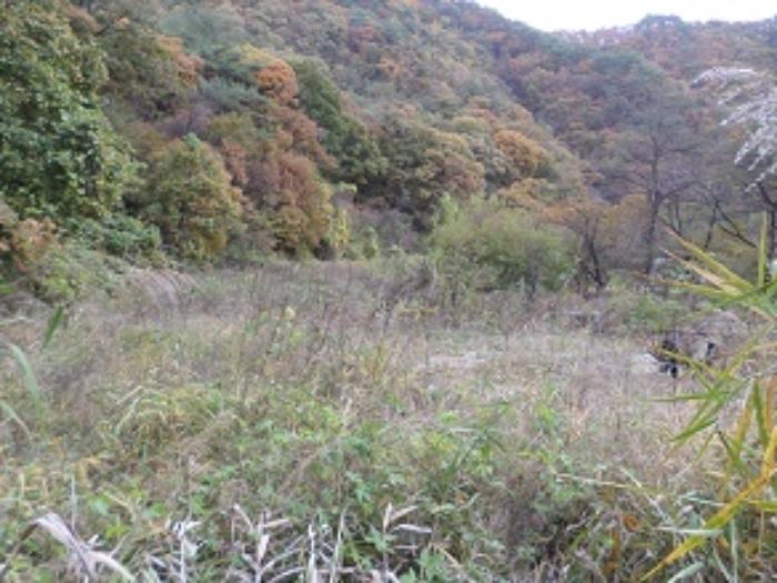 법원경매 2024타경3000 사진9 | 횡성군 우천면 오원리 234 전 경매
