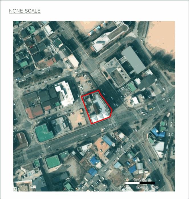법원경매 2025타경41450 사진28 | 안성시 공도읍 만정리 817-2 근린상가 경매