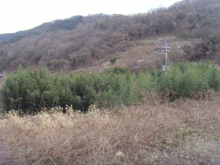 2025타경518 법원경매 사진12 | 전남 해남군 전 경매