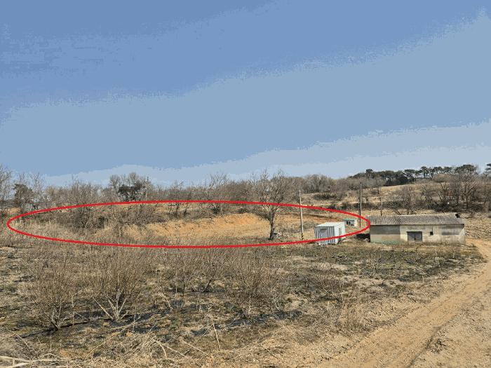 법원경매 2025타경41534 사진12 | 평택시 청북읍 율북리 102-9 답 경매