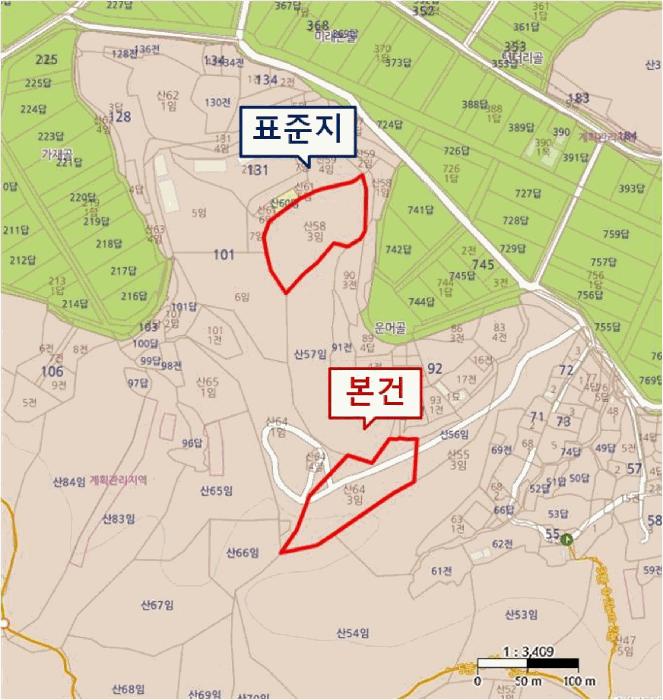 법원경매 2025타경41558 사진17 | 평택시 현덕면 대안리 임야 경매