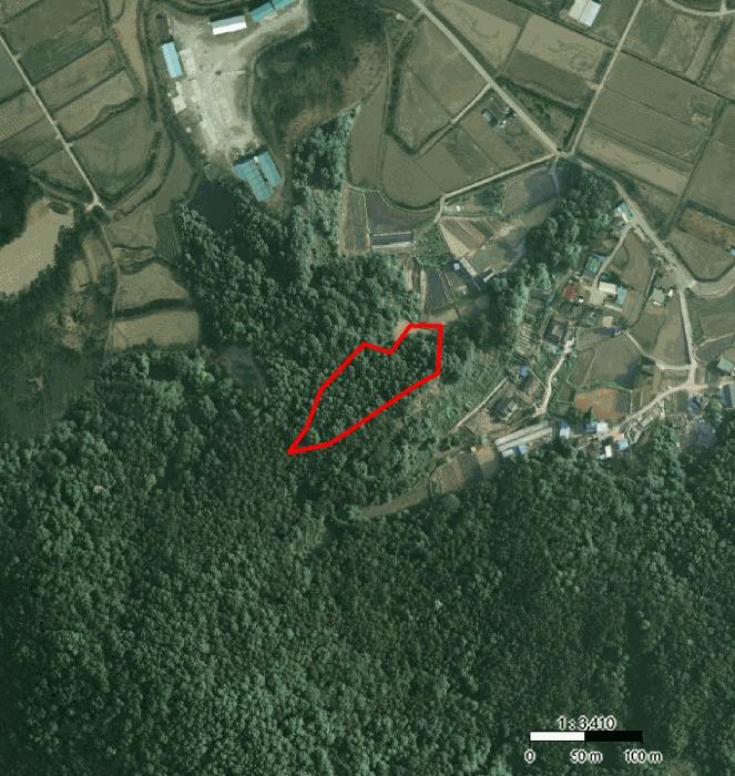 법원경매 2025타경41558 사진18 | 평택시 현덕면 대안리 임야 경매