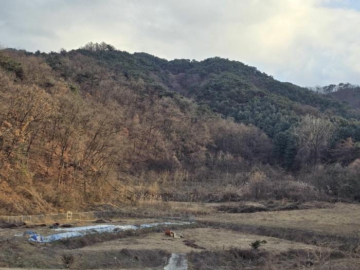 강원특별자치도 원주시 반곡동 116-9 법원경매 물건 대표사진