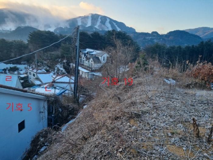법원경매 2024타경406517 사진10 | 횡성군 둔내면 두원리 666-3 펜션(캠핑장) 경매