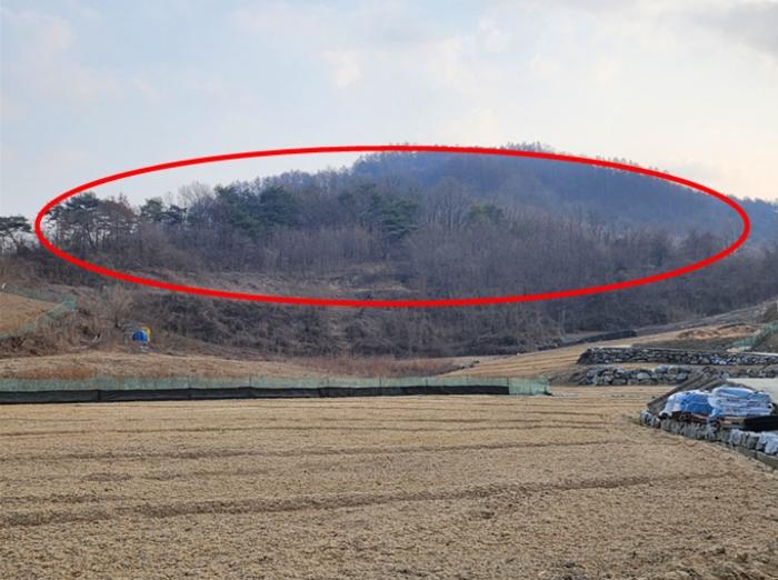 2024타경1834 법원경매 사진4 | 충북 제천시 임야 경매