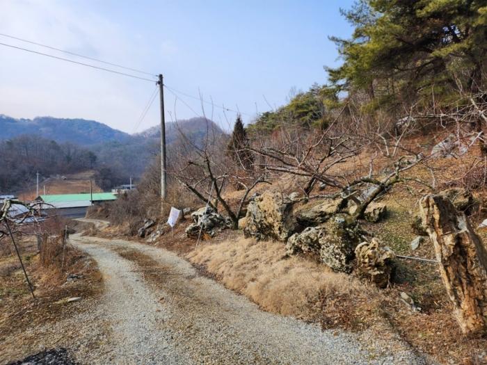 2024타경1834 법원경매 사진7 | 충북 제천시 임야 경매