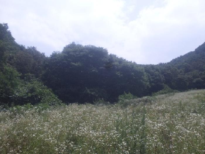 2025타경786 법원경매 사진3 | 전북 임실군 임야 경매