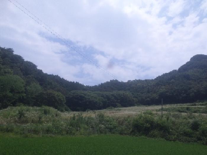 2025타경786 법원경매 사진5 | 전북 임실군 임야 경매