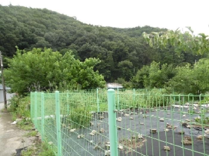 2025타경804 법원경매 사진11 | 전주 완산구 대지 경매