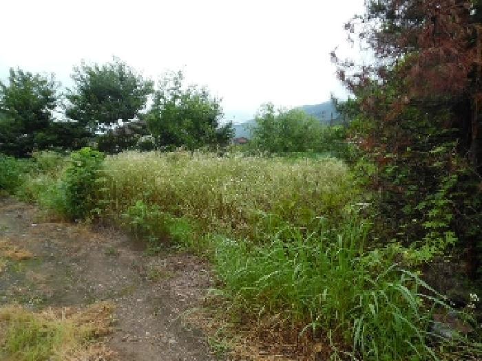 2025타경804 법원경매 사진12 | 전주 완산구 대지 경매